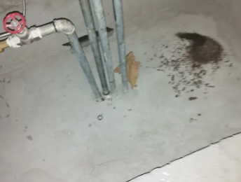 双滦卫生间测漏水价格明细